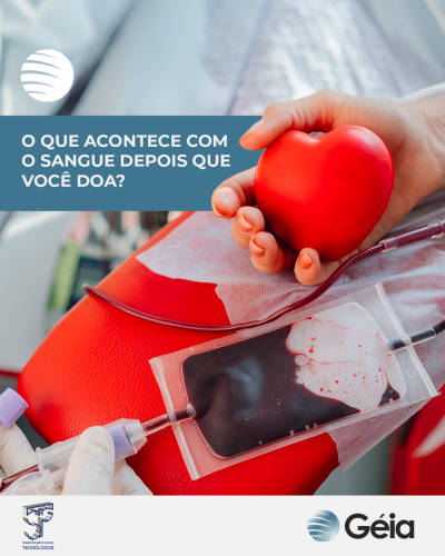 Géia: Você já se perguntou o que acontece com o sangue depois que você doa?