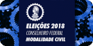 Eleições 2018  Conselheiro Federal  Representante dos Grupos Profissionais